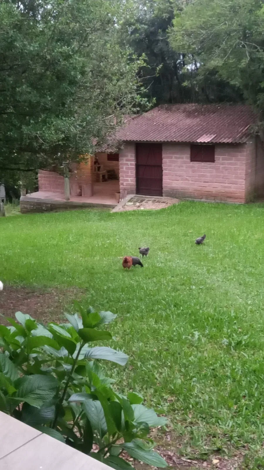 Imagem Sítio em Fiuza