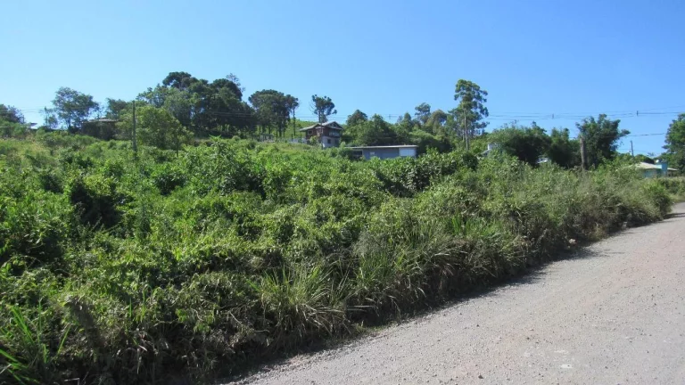 Imagem Terreno para Venda em Concórdia, Colibri