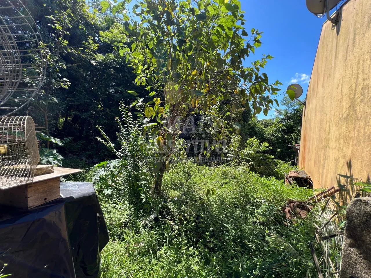 Imagem Terreno para Venda no bairro Santo Afonso em Novo Hamburgo