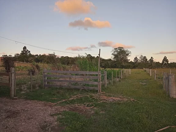 Imagem Linda área com 2 Ha., Casa, Galpão, Lavouras e Açudes, Águas Claras, Viamão