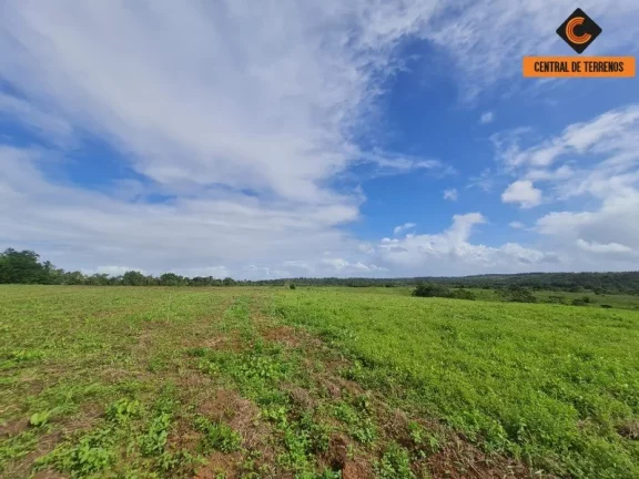 Imagem TERRENO EM BARRA DE POJUCA - LINHA VERDE