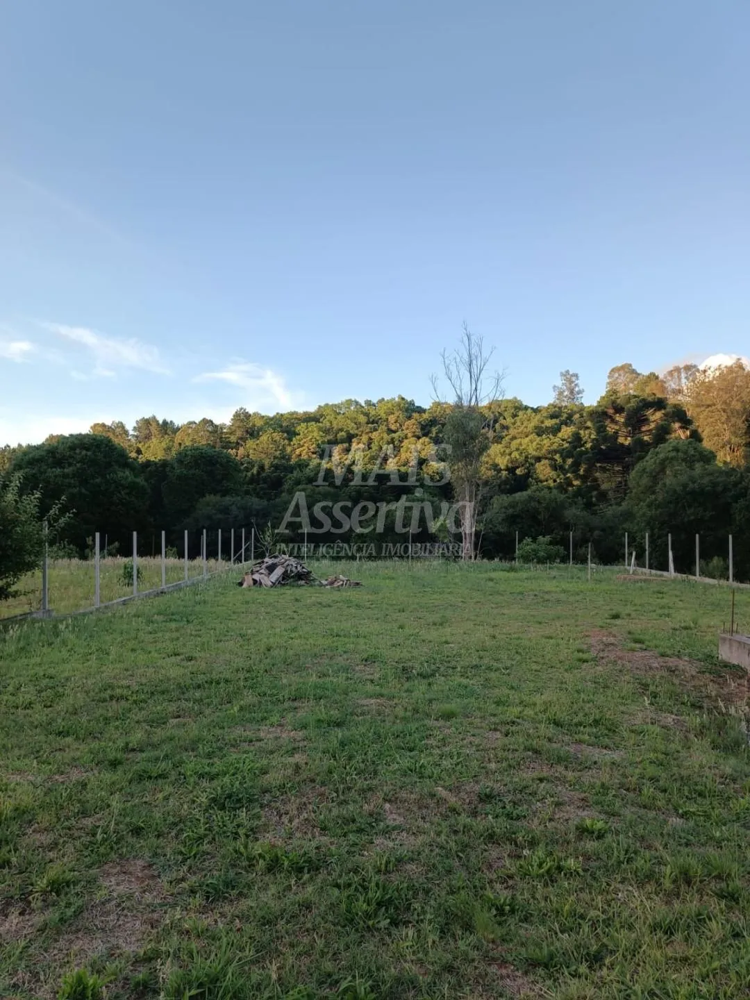 Imagem Chácara Para Venda Monte Bérico Caxias do Sul 1.050m2