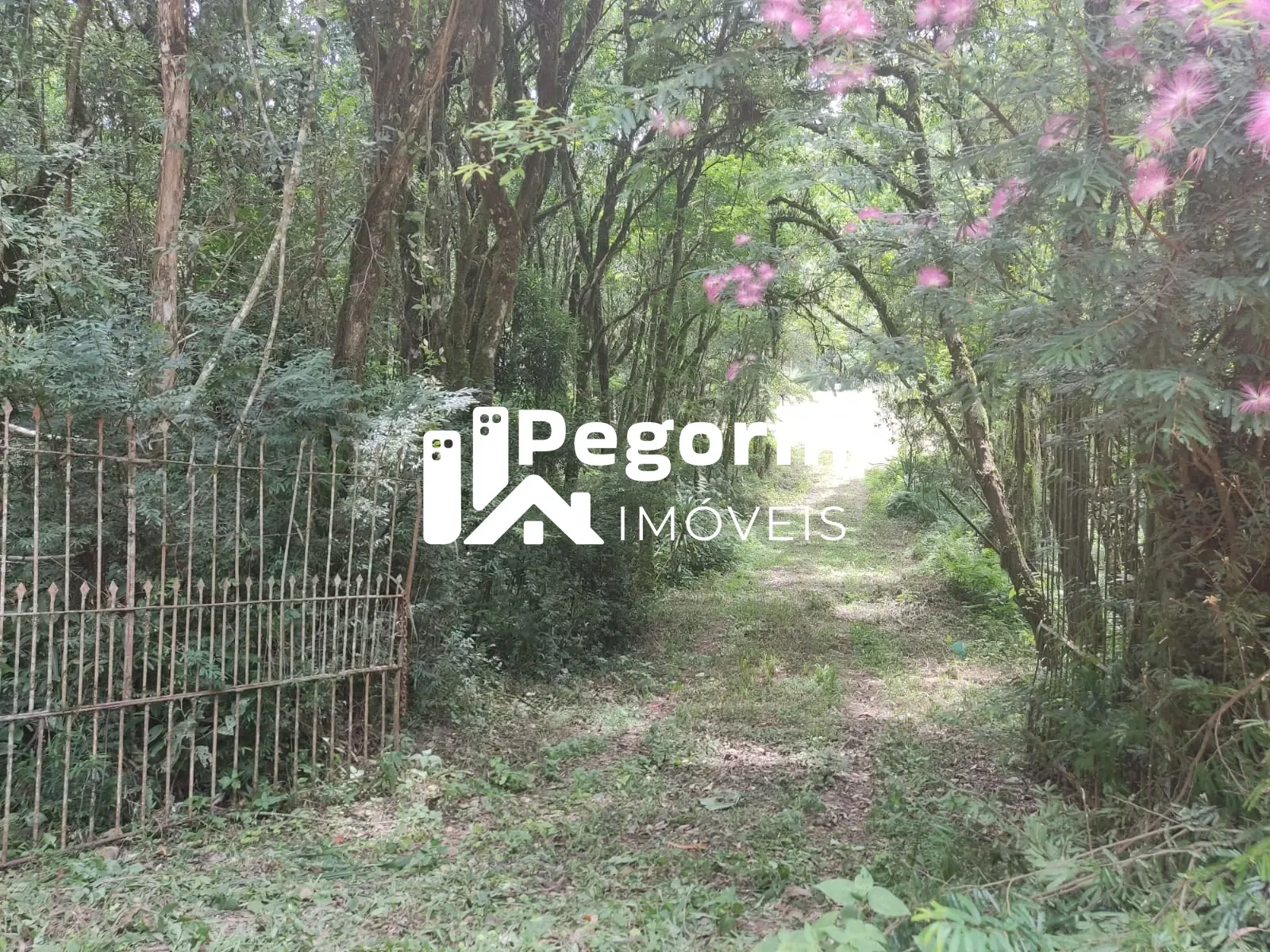 Imagem CHÁCARA EM CAMPO MAGRO 51.000M²