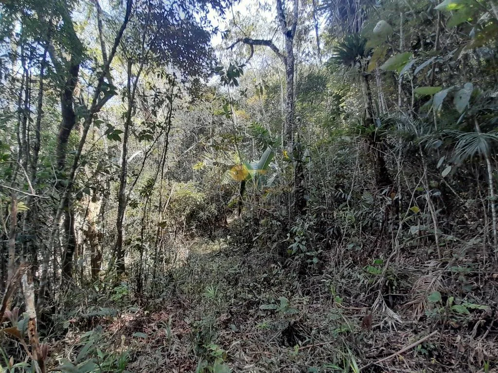 Imagem Terreno para Venda em Teresópolis / RJ no bairro Vargem Grande