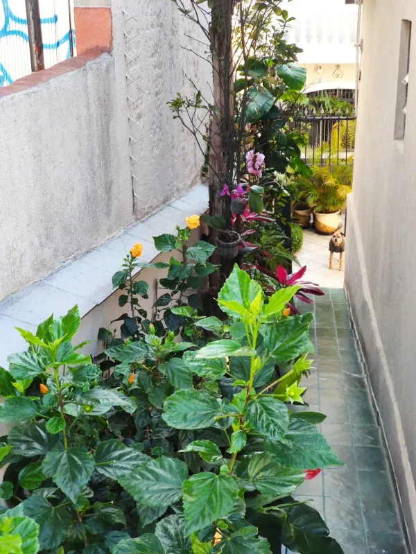 Imagem Ponto comercial à venda em Vila Santa Luzia São Bernardo do Campo SP