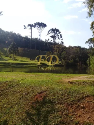 Imagem Belíssimo Sitio com 300.000m² na Região do Clube da Montanha