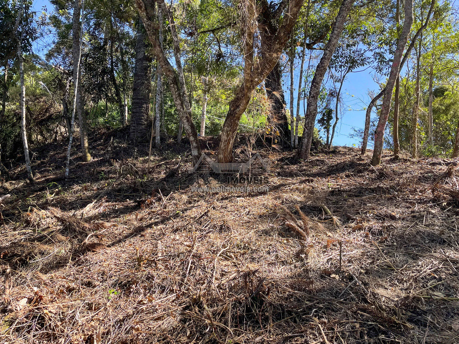 Imagem Terreno à venda em Campos do Jordão - Excelente opção para investimento