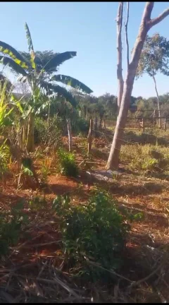 Foto do imóvel Chácara à venda