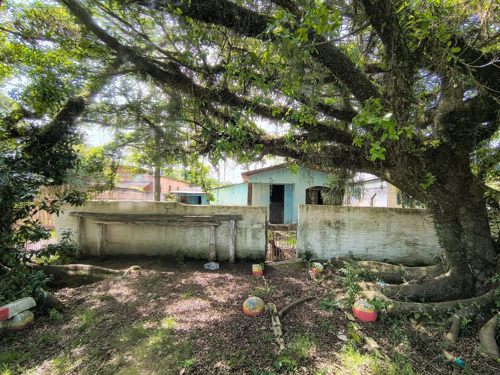 Foto do Imóvel