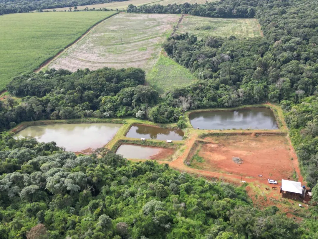 Imagem Chácara à venda em Cascavel, Centro - Casa de caseiro, Rio e Lago para pesca