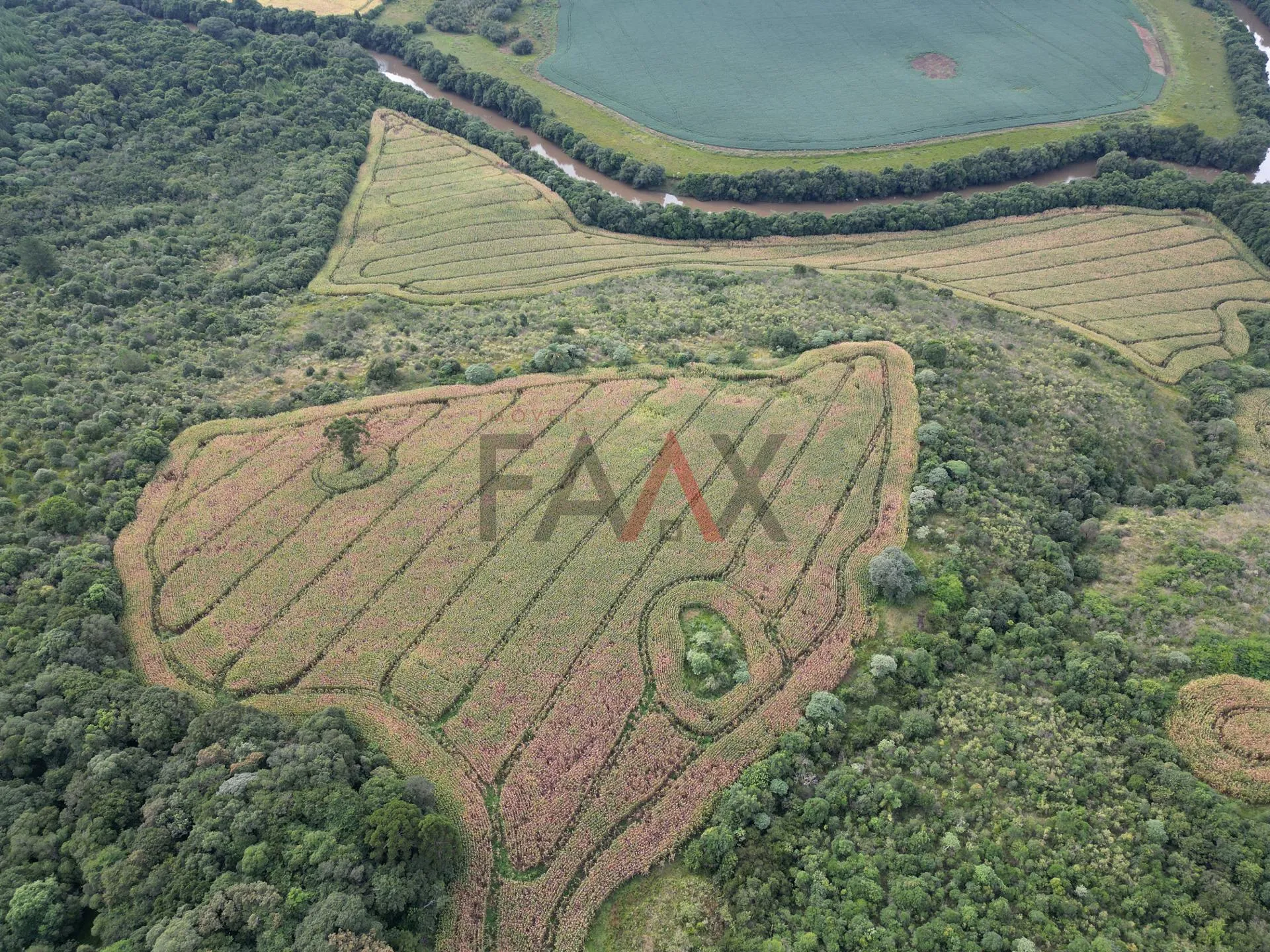 Imagem Chácara com 1.210.000,00m as margens da BR-277 em GUARAPUAVA - PR