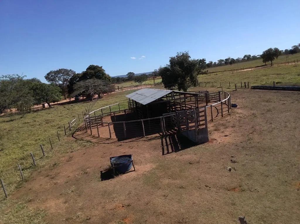 Imagem FAZENDA À VENDA - VÁRZEA DA PALMA (MG) 313 hectares de área total