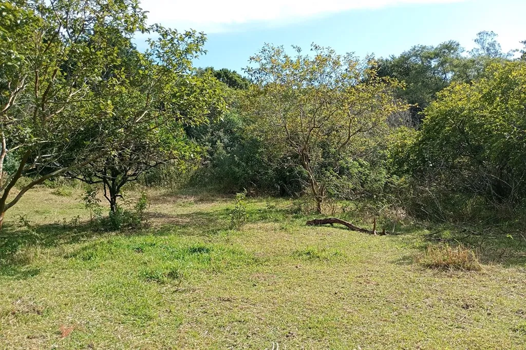 Imagem Fazenda em Belém Novo