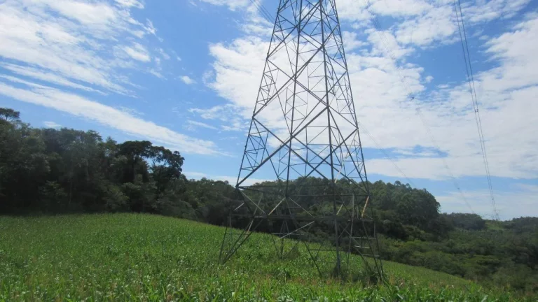 Imagem Área Agrícola para Venda em Concórdia, Rural