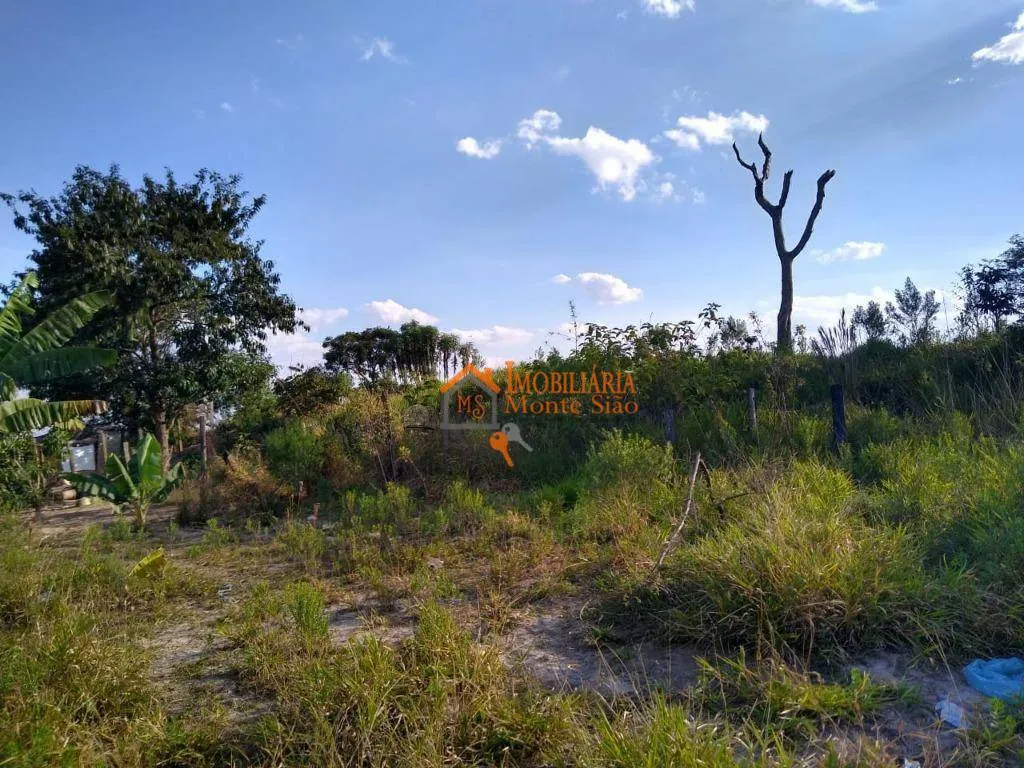 Imagem Área à venda, 39000 m² por R$ 25.000.000,00 - Parque Primavera - Guarulhos/SP