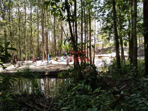 Imagem Imóveis Belém vende casa no município de Vigia de Nazaré.