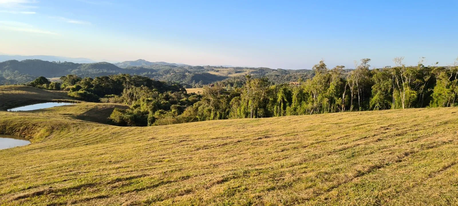 Imagem Oportunidade Única! Terreno com 4 Lagos e Escritura Pública em Rancho Queimado - 27,6 ha