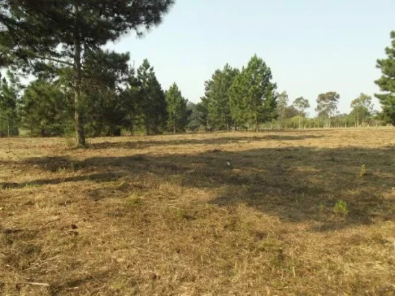 Imagem INVESTIDORES!!! Excelente área de 8 Hectares, frente RS040, Águas Claras