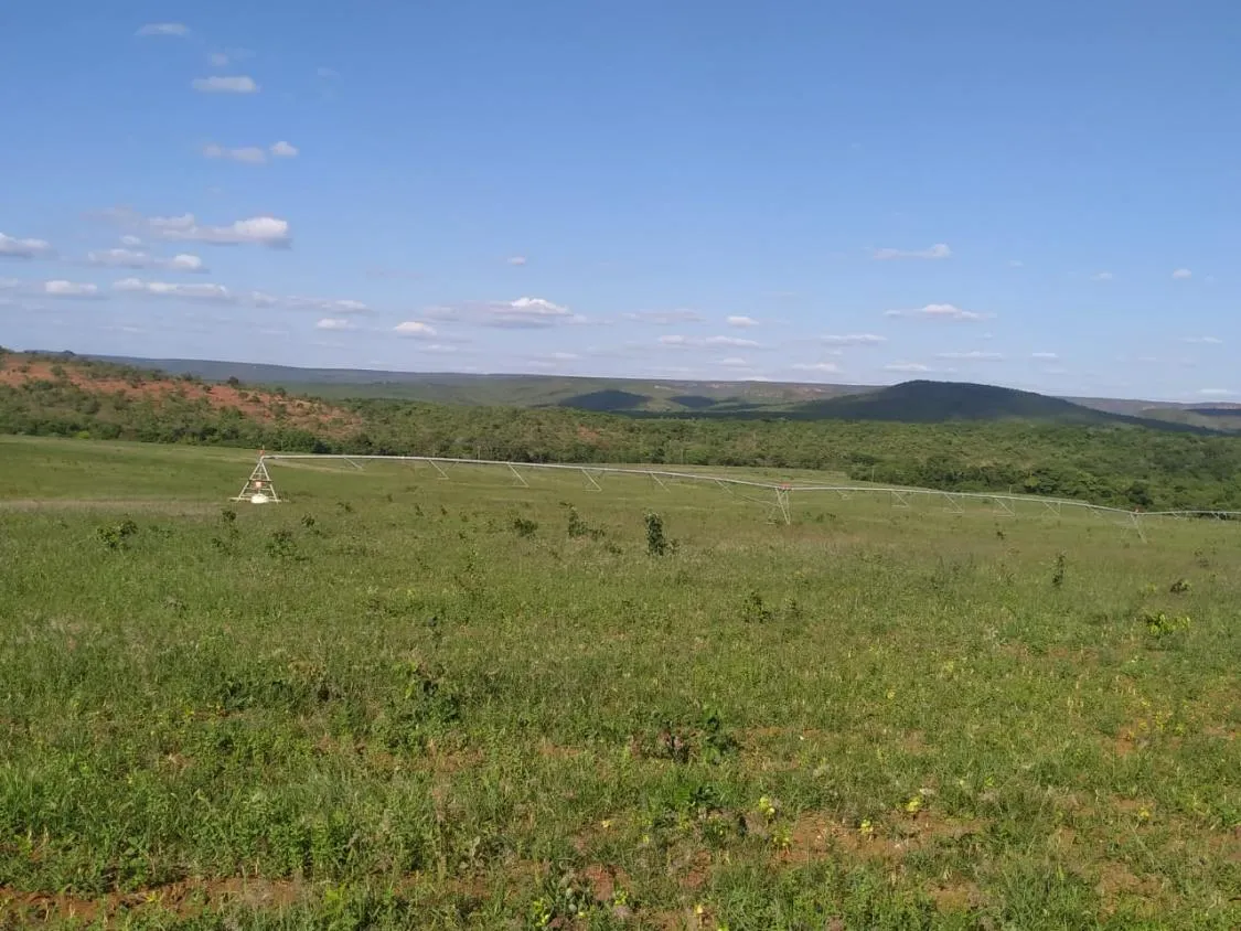 Imagem FAZENDA PORTEIRA FECHADA À VENDA - REGIÃO DE DIAMANTINA 257 hectares de área total
