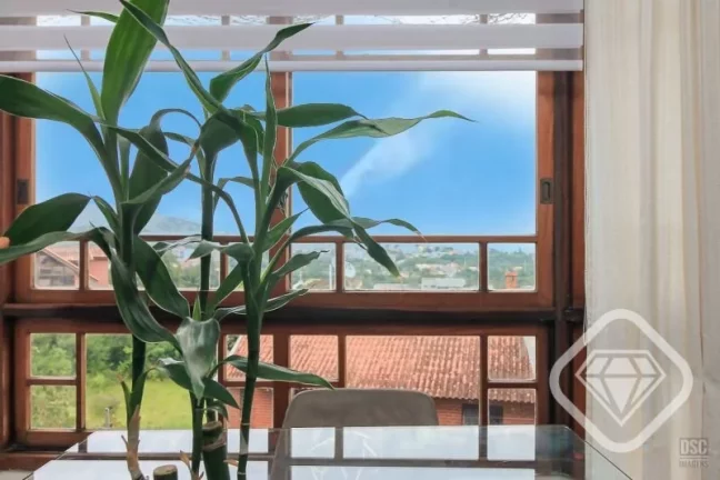 Imagem Casa em condomínio com vista, lareira e piscina - tranquilidade e privacidade na zona sul

A Brilha...