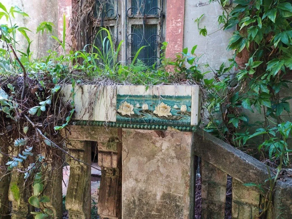 Imagem Area para Venda - 0m², 0 dormitórios, Belém Velho