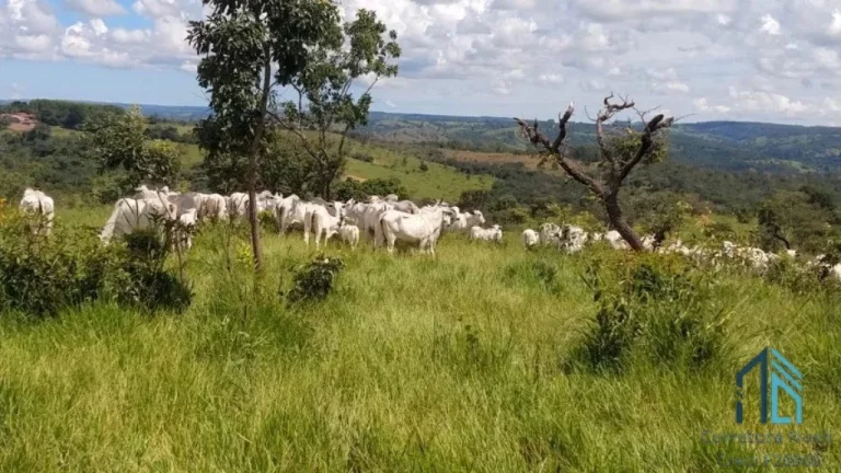 Foto do imóvel Fazenda em Abadiânia, muita água (permuta total se for em Goiânia) GOIANIA - GO