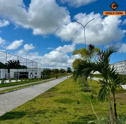 Imagem CONDOMINIO DE LOTES EM ABRANTES
