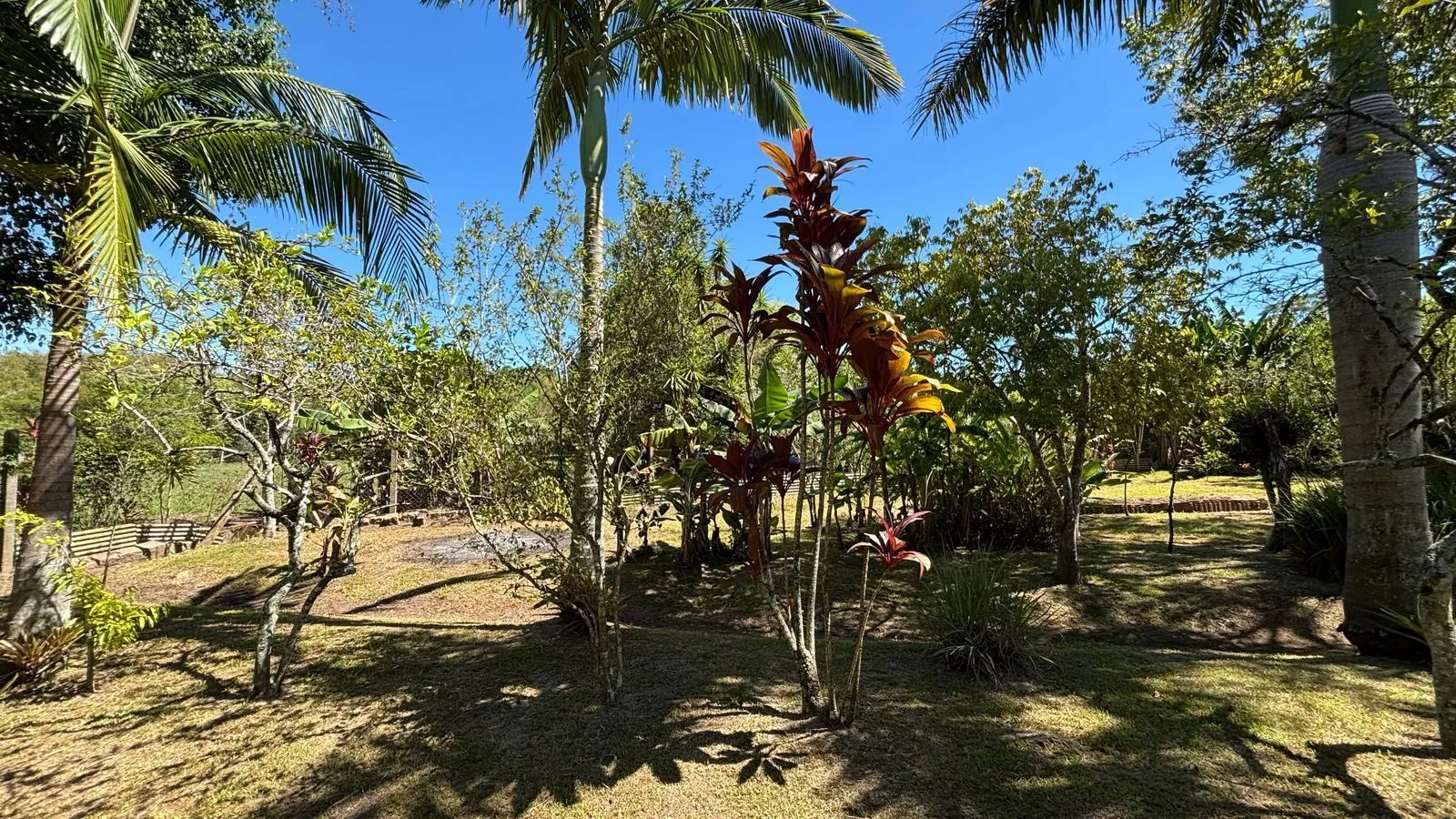Imagem Sítio em Chapéu do Sol