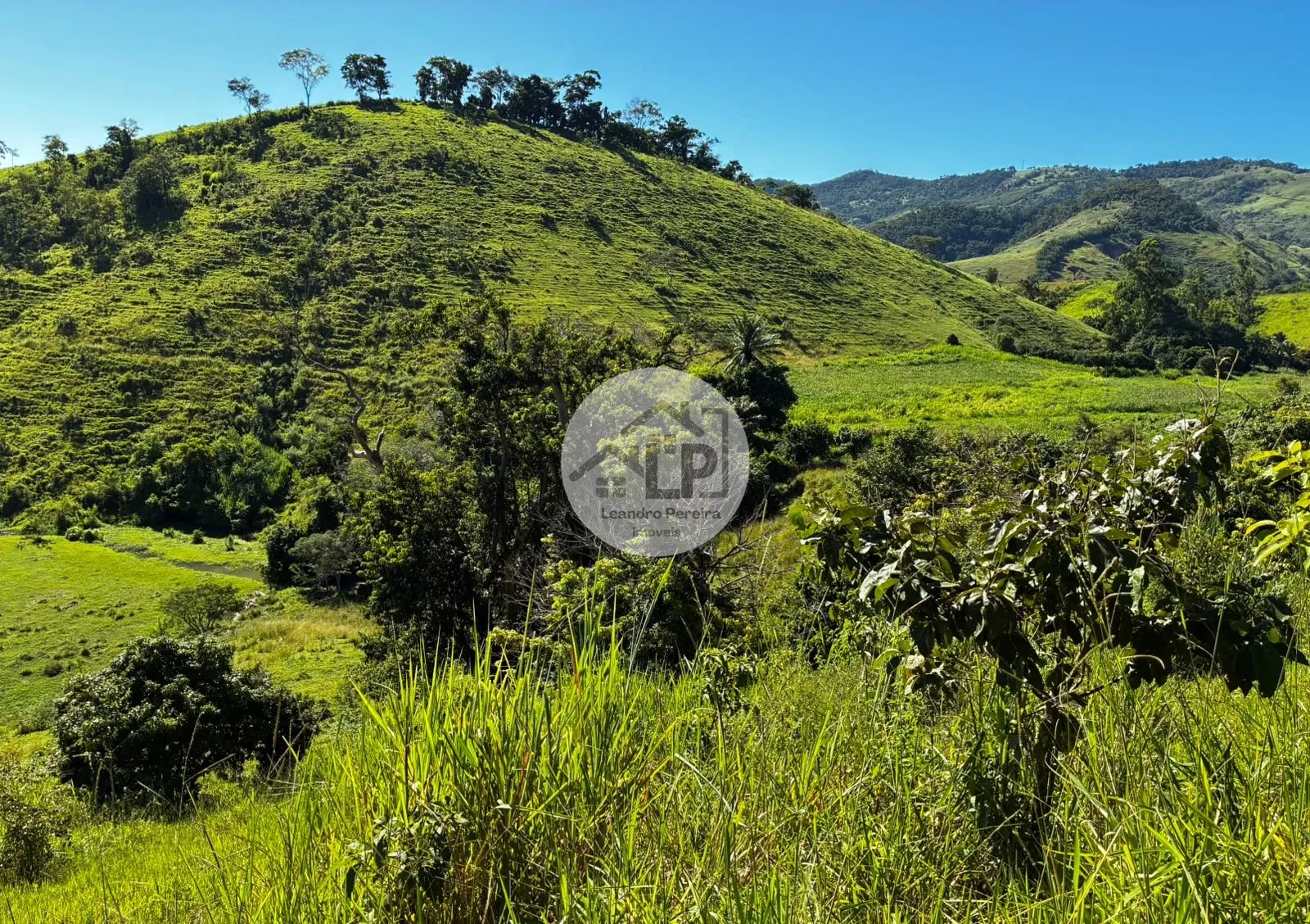 Imagem Fazenda/Sítios/Chácaras de 480000m² no bairro Carmo, em Carmo