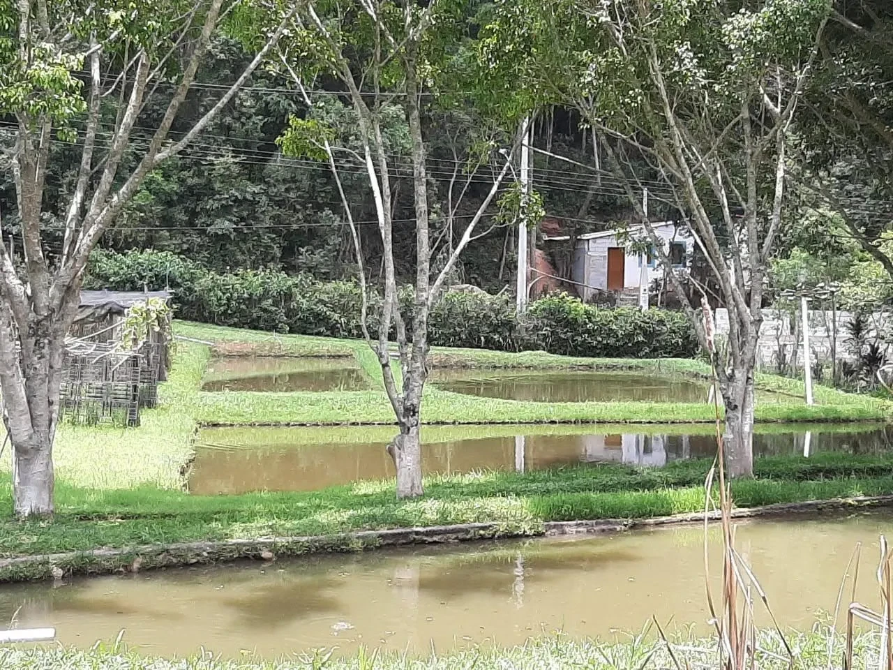 Imagem Chácara com 4 Quartos à Venda, 464 m² em Botujuru (Botujuru) - Campo Limpo Paulista