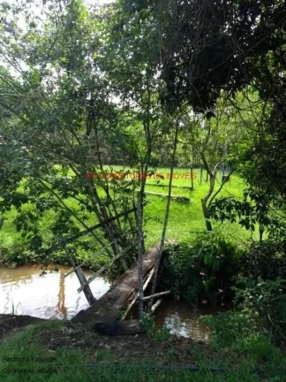 Imagem CHACARA RURAL em PALMEIRAL - MG, PALMEIRAL