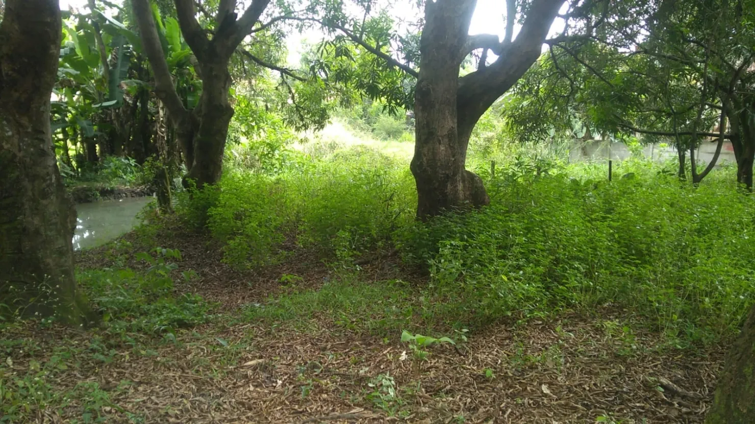 Imagem Terreno à venda 6866M², Crispim, Pindamonhangaba - SP