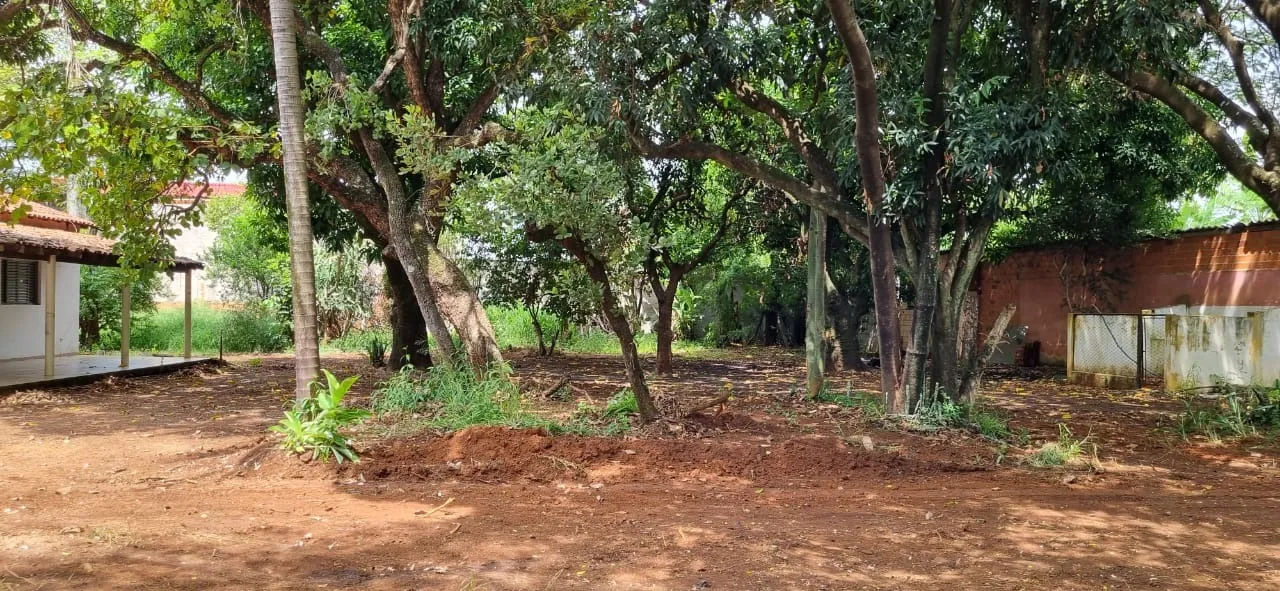 Imagem Área no Éden com 6.000,00m2 ideal para Galpões e Projetos Comerciais! Ótima Localização!