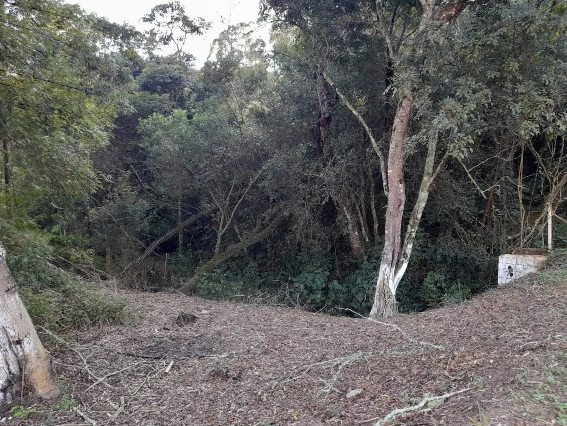 Imagem TERRENO - BAIRRO DA RESSACA - IBIUNA