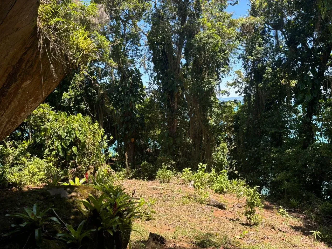 Imagem Terreno à Venda, 5500 metros em Ilha a Venda  - Paraty