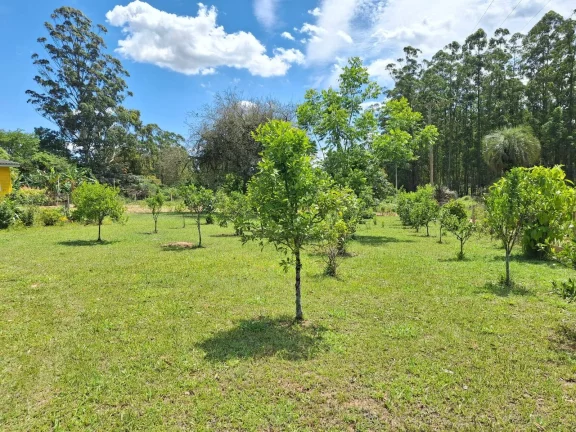 Imagem OPORTUNIDADE!!! Sítio 7.500m², Casa de madeira, Galpão, Pomar, Morro Grande