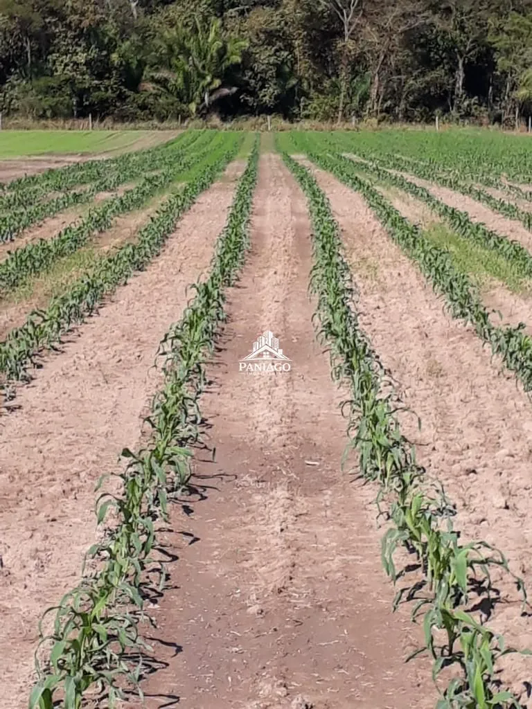 Imagem Sítio de 10,63 Hectares à Venda em Leverger/MT | Estrutura para Pecuária
