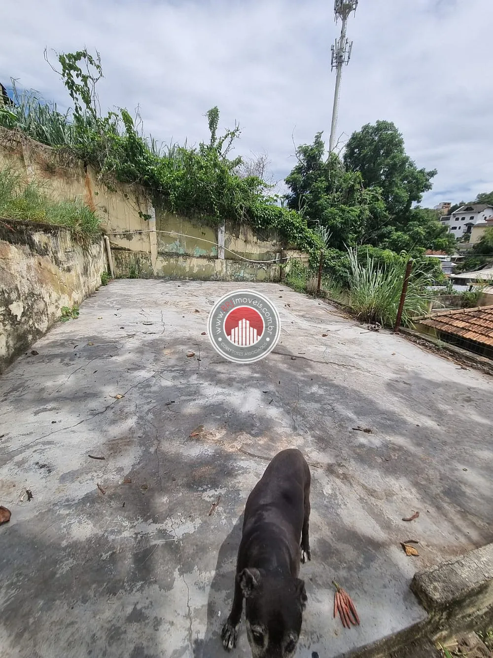 Imagem Casa a Venda no bairro Piedade - Rio de Janeiro, RJ