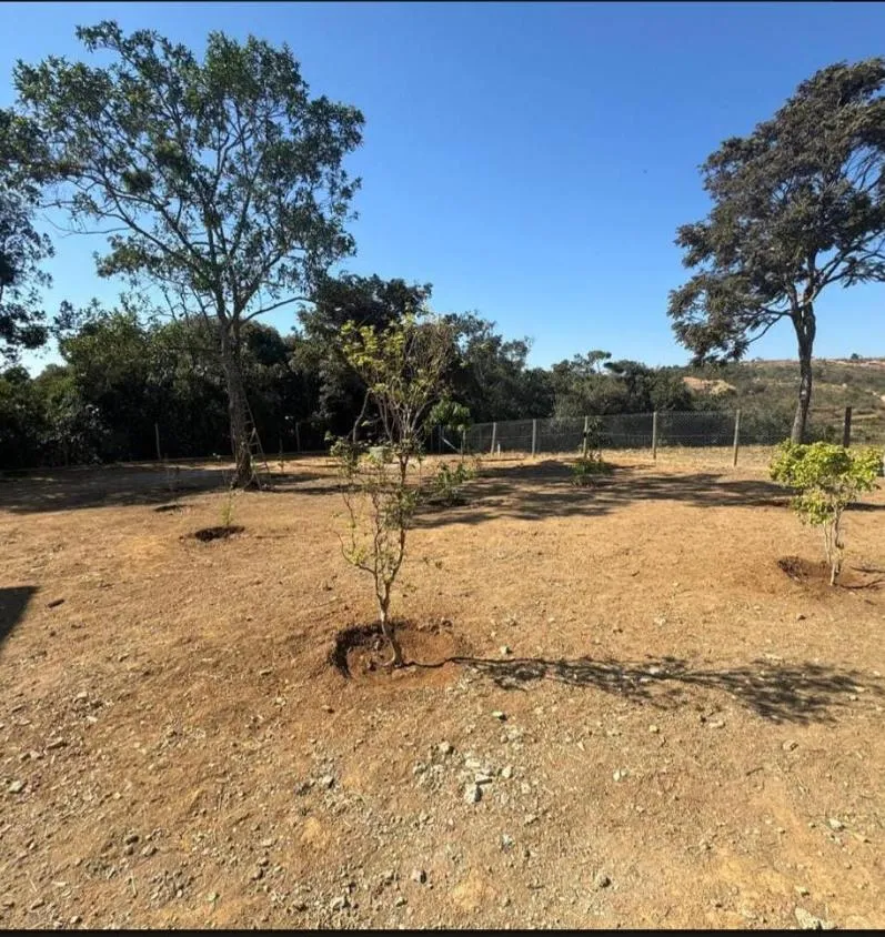 Imagem Vende-se excelente sítio em Itaguara/MG , com 6.000 m² de terreno.