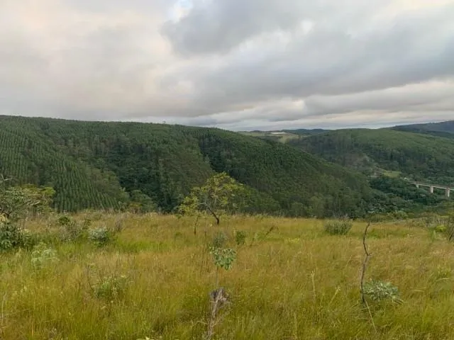 Imagem Área Rural à venda na Cidade de Mairinque na Rodovia Mário Covas