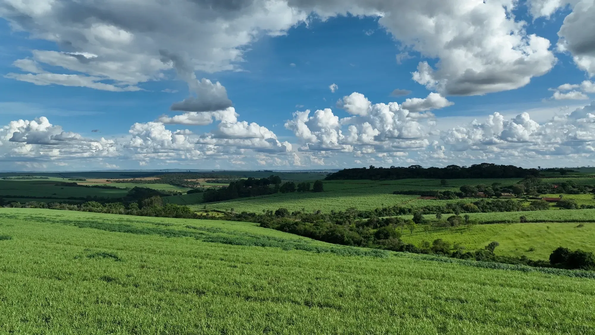 Imagem Fazenda à Venda, 232 HA em Zona Rural - Franca