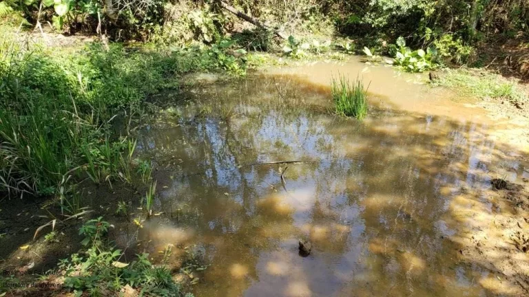 Imagem SITIO RURAL em BANDEIRA DO SUL - MG, Sitio Capituvas