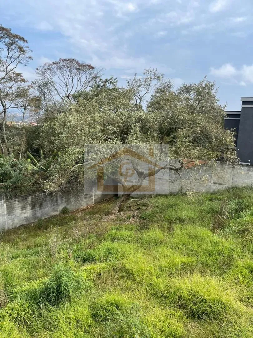 Foto do imóvel Natureza Linda, Lote com 333 metros