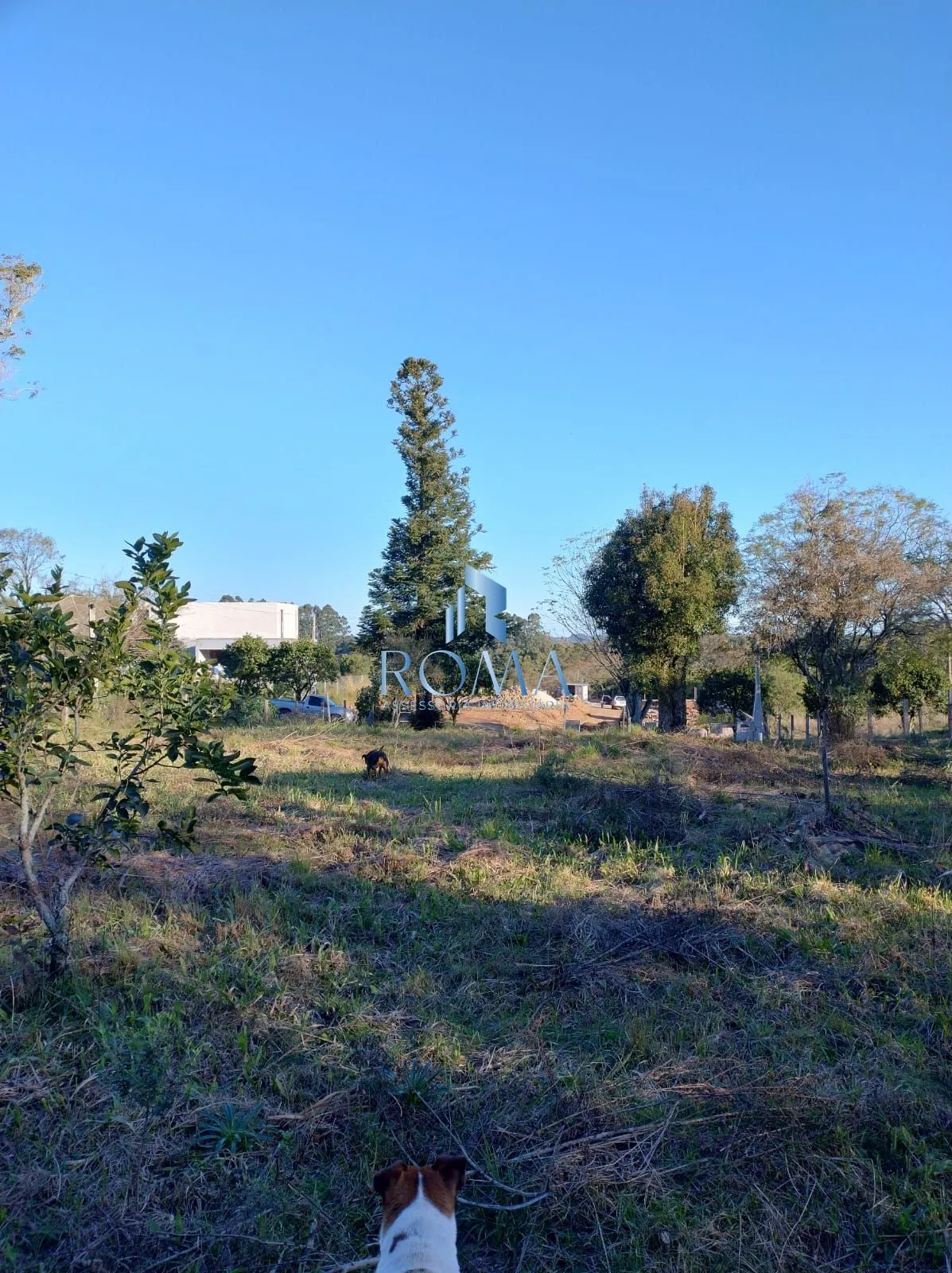 Imagem Terreno à venda Parque Serrano I Itaara/RS