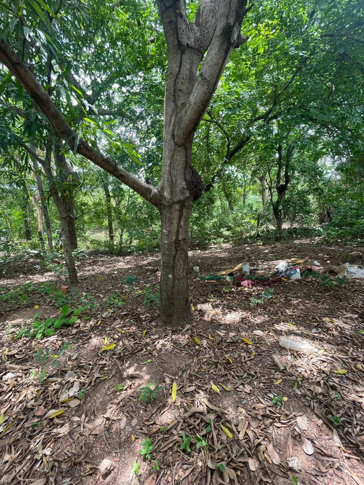 Imagem Casa 3 quartos, 1 suíte, área rural em Cuiabá - MT