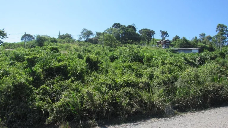Imagem Terreno para Venda em Concórdia, Colibri