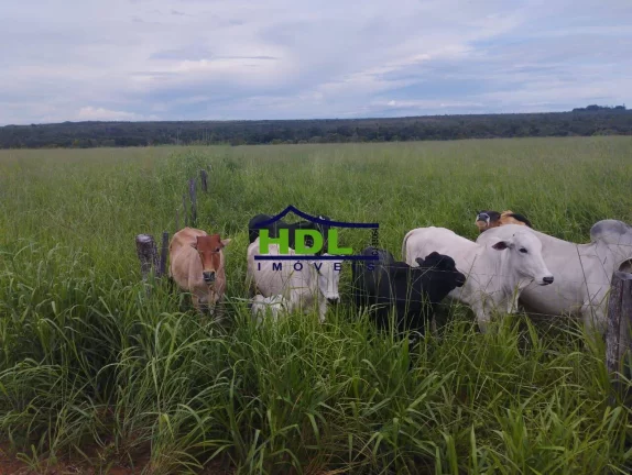 Imagem Fazenda com projeto para 4 Pivôs no Tocantins