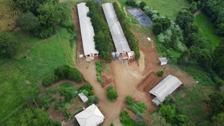 Imagem Área Agrícola para Venda em Três Arroios, Rural