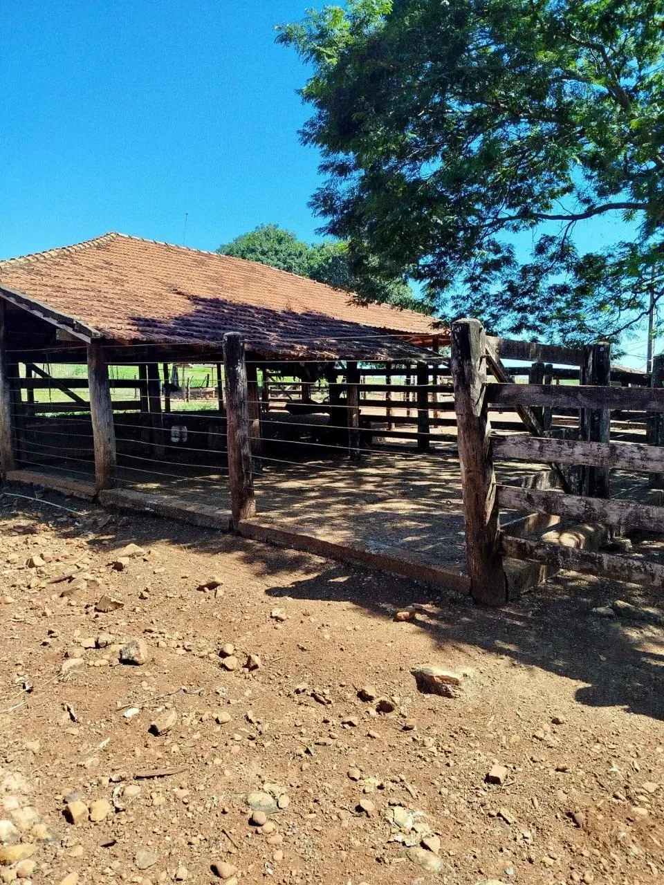 Imagem Fazenda à Venda, 28 Alq. GO em Área Rural de Itumbiara - Itumbiara