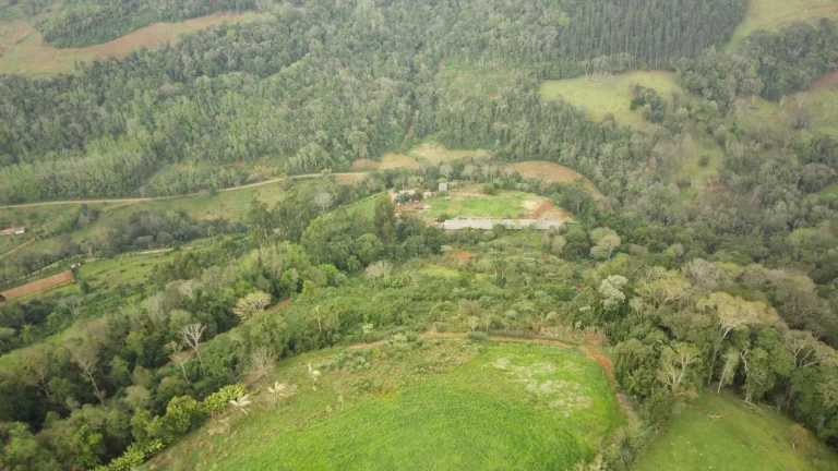 Imagem Área Agrícola para Venda em Arabuta, Rural